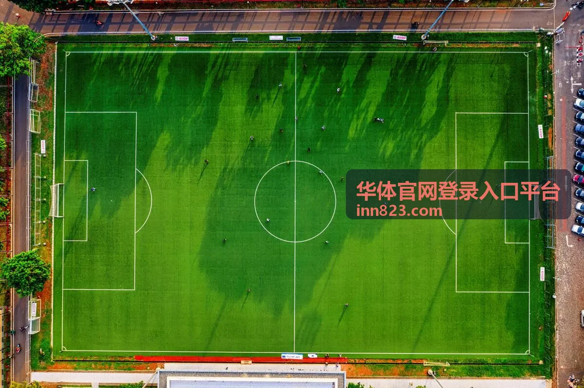 华体官网登录入口平台功能界面概览